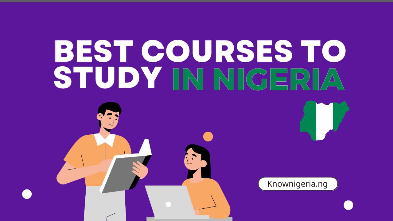 courses to study in Nigeria