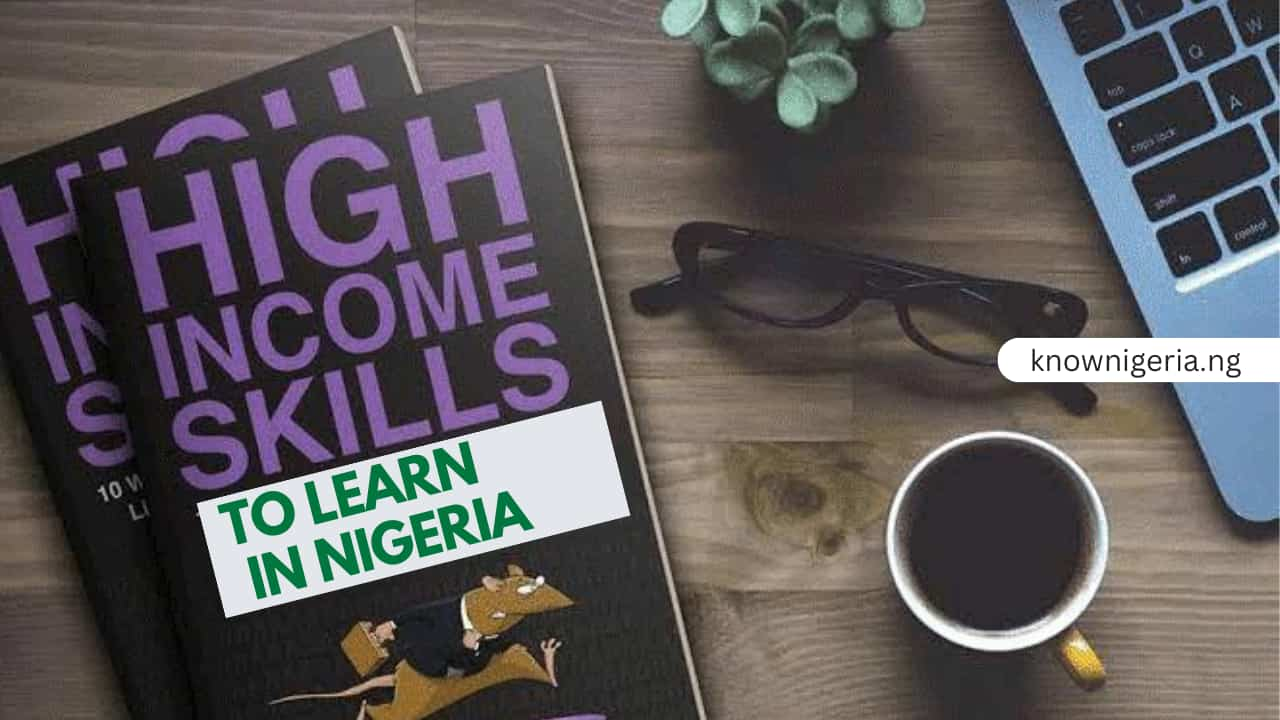 14 Best High-Income Skills In Nigeria