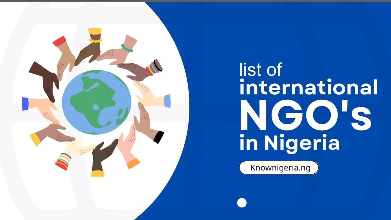 12 Best International Ngos In Nigeria