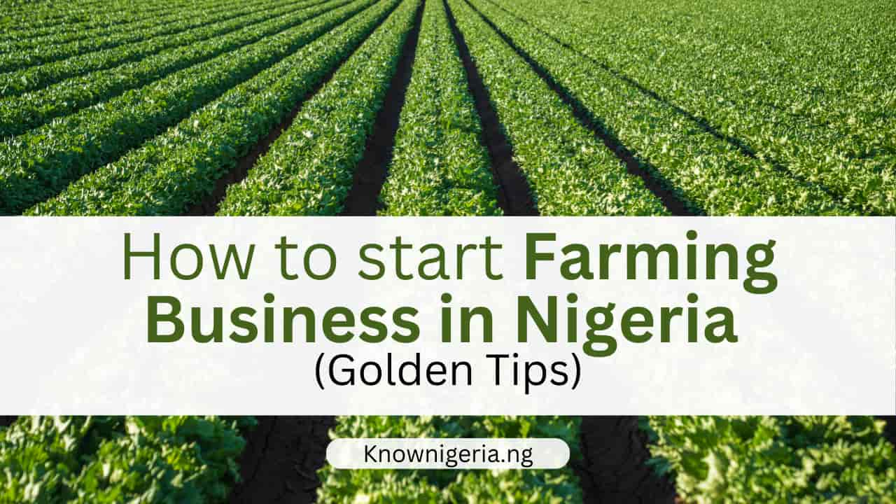 How To Start Farming Business In Nigeria