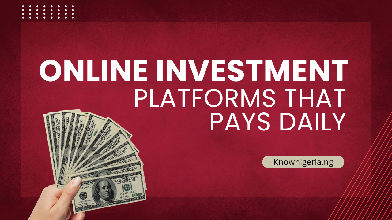 Online Investment Platforms That Pay Daily