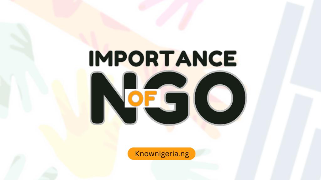 Importance Of Ngo Know Nigeria