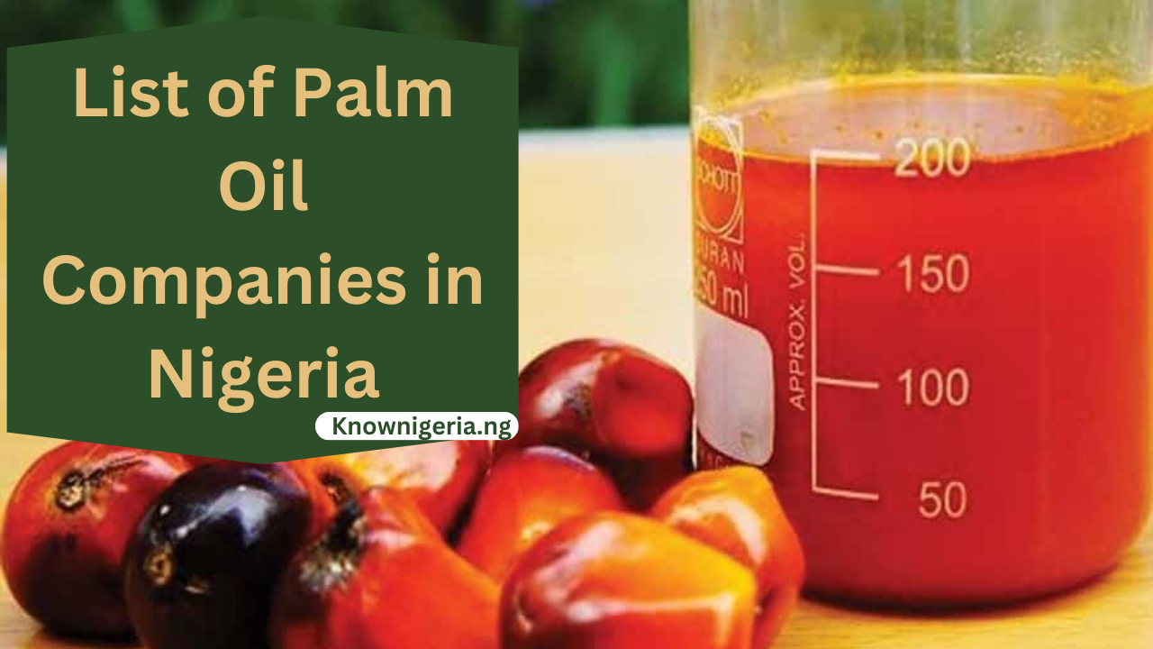 Palm Oil Companies In Nigeria