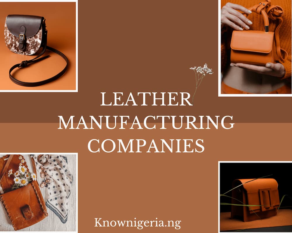 Leather Manufacturing Companies