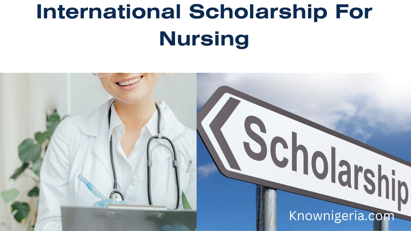 International scholarship for nursing